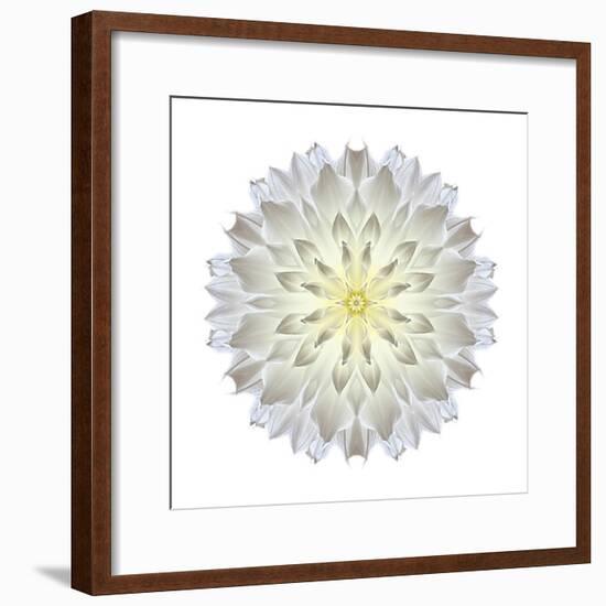 Kaleidoscope Dahlia-David Bookbinder-Framed Art Print