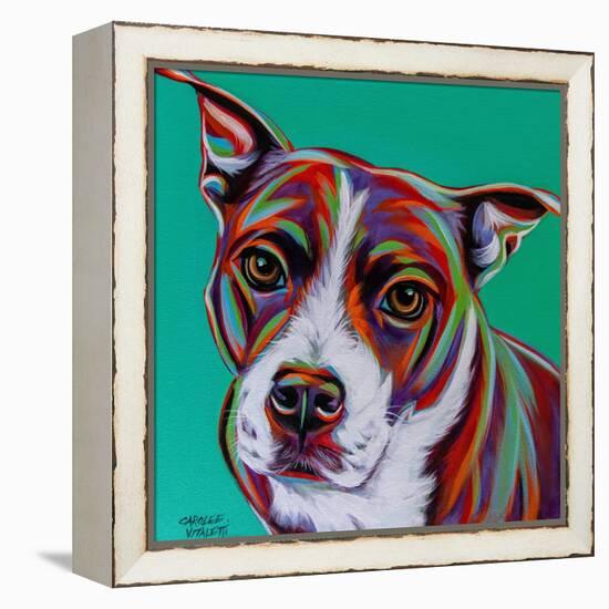 Kaleidoscope Dog I-Carolee Vitaletti-Framed Stretched Canvas