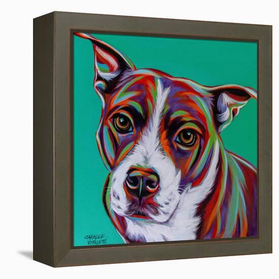 Kaleidoscope Dog I-Carolee Vitaletti-Framed Stretched Canvas