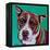 Kaleidoscope Dog I-Carolee Vitaletti-Framed Stretched Canvas