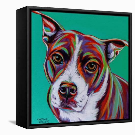 Kaleidoscope Dog I-Carolee Vitaletti-Framed Stretched Canvas