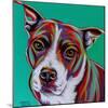 Kaleidoscope Dog I-Carolee Vitaletti-Mounted Art Print