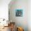 Kaleidoscope Dog III-Carolee Vitaletti-Premium Giclee Print displayed on a wall