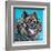 Kaleidoscope Dog III-Carolee Vitaletti-Framed Art Print