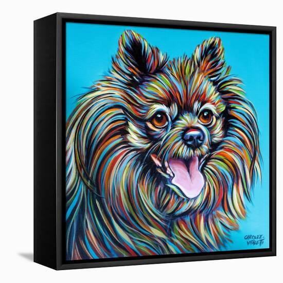 Kaleidoscope Dog III-Carolee Vitaletti-Framed Stretched Canvas