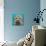 Kaleidoscope Dog IV-Carolee Vitaletti-Premium Giclee Print displayed on a wall
