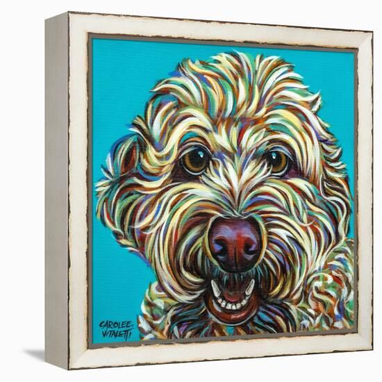 Kaleidoscope Dog IV-Carolee Vitaletti-Framed Stretched Canvas