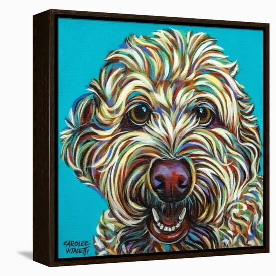 Kaleidoscope Dog IV-Carolee Vitaletti-Framed Stretched Canvas