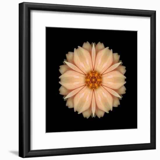 Kaleidoscope Peach Dahlia-David Bookbinder-Framed Art Print