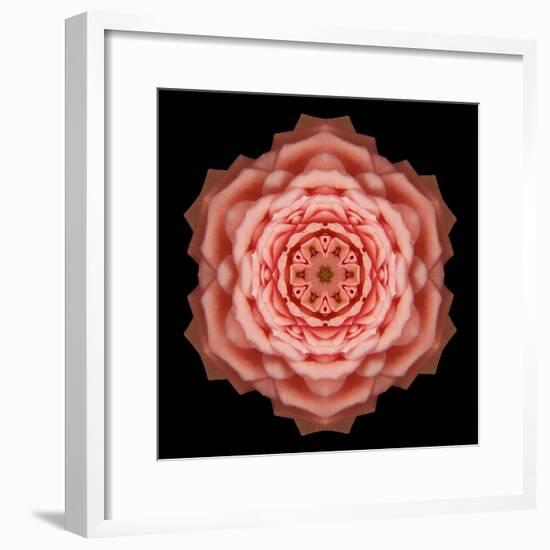 Kaleidoscope Rose-David Bookbinder-Framed Art Print