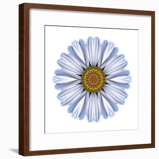 Kaleidoscope White Daisy-David Bookbinder-Framed Art Print