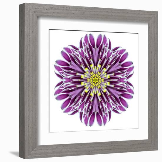 Kaleidoscopic Chrystanthemum Flower Mandala-tr3gi-Framed Art Print