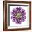 Kaleidoscopic Chrystanthemum Flower Mandala-tr3gi-Framed Art Print