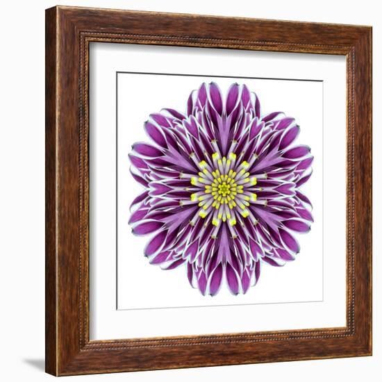 Kaleidoscopic Chrystanthemum Flower Mandala-tr3gi-Framed Art Print