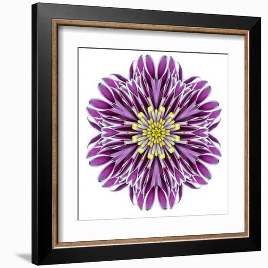 Kaleidoscopic Chrystanthemum Flower Mandala-tr3gi-Framed Art Print