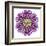 Kaleidoscopic Chrystanthemum Flower Mandala-tr3gi-Framed Art Print