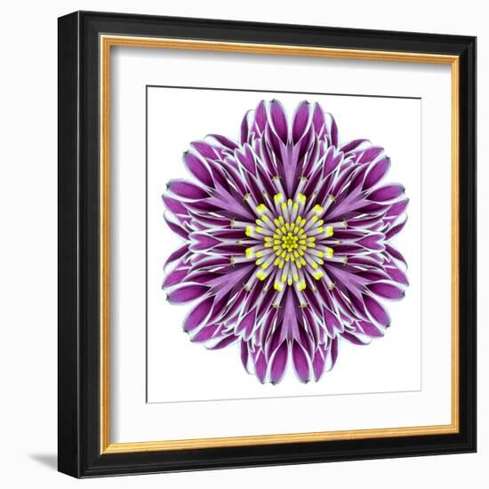 Kaleidoscopic Chrystanthemum Flower Mandala-tr3gi-Framed Art Print