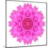 Kaleidoscopic Chrystanthemum Flower Mandala-tr3gi-Mounted Art Print