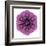 Kaleidoscopic Chrystanthemum Flower Mandala-tr3gi-Framed Art Print