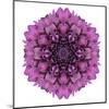 Kaleidoscopic Chrystanthemum Flower Mandala-tr3gi-Mounted Art Print