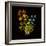 Kaleidoscopic Colour-Kareem Rizk-Framed Giclee Print