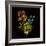 Kaleidoscopic Colour-Kareem Rizk-Framed Giclee Print