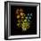 Kaleidoscopic Colour-Kareem Rizk-Framed Giclee Print