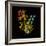 Kaleidoscopic Colour-Kareem Rizk-Framed Giclee Print