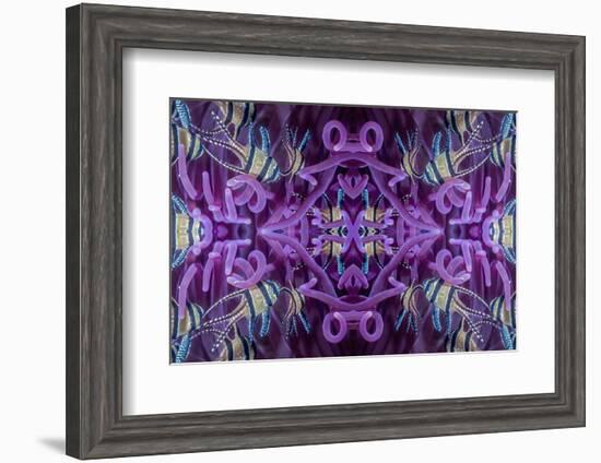 Kaleidoscopic image of Banggai cardinalfish in sea anemone, North Sulawesi, Indonesia-Georgette Douwma-Framed Photographic Print