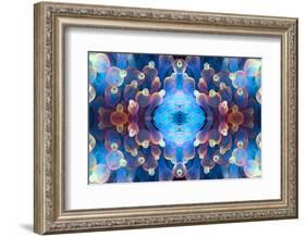 Kaleidoscopic image of Bubble tip anemone, Raja Ampat, West Papua, Indonesia-Georgette Douwma-Framed Photographic Print