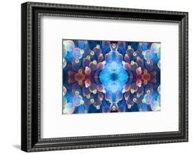 Kaleidoscopic image of Bubble tip anemone, Raja Ampat, West Papua, Indonesia-Georgette Douwma-Framed Photographic Print
