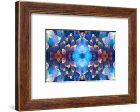 Kaleidoscopic image of Bubble tip anemone, Raja Ampat, West Papua, Indonesia-Georgette Douwma-Framed Photographic Print
