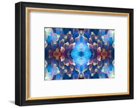 Kaleidoscopic image of Bubble tip anemone, Raja Ampat, West Papua, Indonesia-Georgette Douwma-Framed Photographic Print