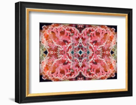 Kaleidoscopic image of Soft coral, Indonesia-Georgette Douwma-Framed Photographic Print