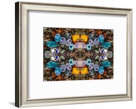 Kaleidoscopic image of Tunicates including Golden seasquirt, North Sulawesi, Indonesia-Georgette Douwma-Framed Photographic Print