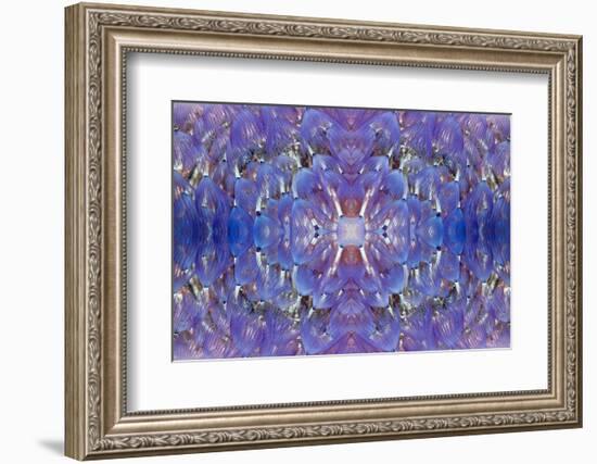 Kaleidoscopic image of Variegated feather duster, Philippines-Georgette Douwma-Framed Photographic Print