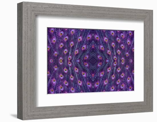 Kaleidoscopic montage of a peacock feather-Georgette Douwma-Framed Photographic Print
