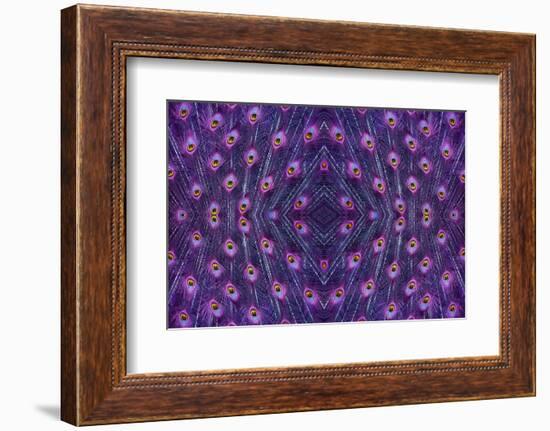 Kaleidoscopic montage of a peacock feather-Georgette Douwma-Framed Photographic Print