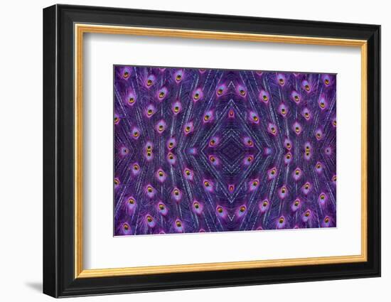 Kaleidoscopic montage of a peacock feather-Georgette Douwma-Framed Photographic Print