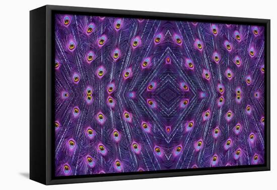 Kaleidoscopic montage of a peacock feather-Georgette Douwma-Framed Premier Image Canvas