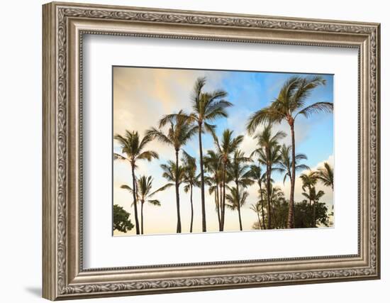 Kaloko-Honokohau Beach Park near Kona, Big Island, Hawaii, USA-Stuart Westmorland-Framed Photographic Print