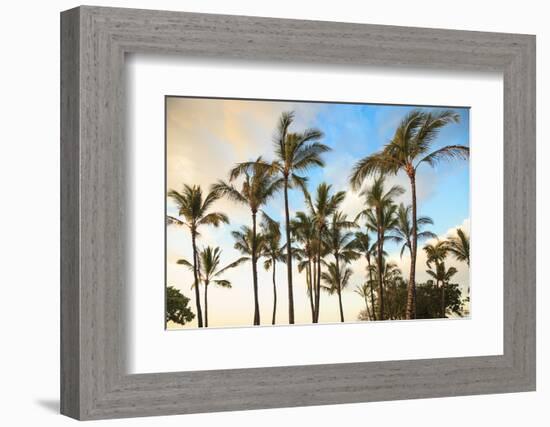 Kaloko-Honokohau Beach Park near Kona, Big Island, Hawaii, USA-Stuart Westmorland-Framed Photographic Print