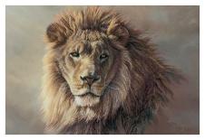Serengeti Lioness-Kalon Baughan-Art Print