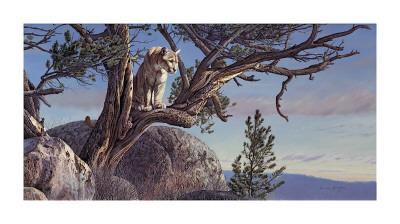 Kalon Baughan Giclee Prints Wall Art: Prints, Paintings Kalon Baughan Giclee Prints Wall Art: Prints, Paintings