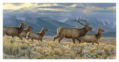 Kalon Baughan Wall Art: Prints, Paintings & Posters | Art.com