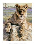 Serengeti Lioness-Kalon Baughan-Art Print