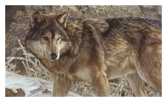 Art Print, , large