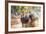 Kambala, Traditional Buffalo Racing, Kerala, India-Peter Adams-Framed Photographic Print