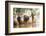 Kambala, Traditional Buffalo Racing, Kerala, India-Peter Adams-Framed Photographic Print