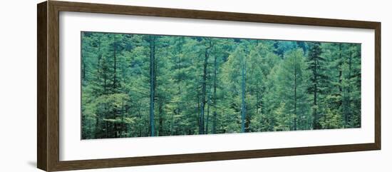 Kamikouchi Nagano Japan-null-Framed Photographic Print